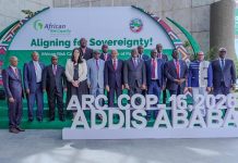 Ethiopia’s Deputy PM Urges Bold African Unity on Climate Ethiopia's Deputy PM Urges Bold African Unity on Climate