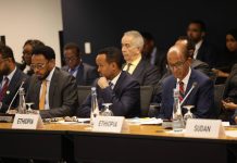 Ethiopia’s Finance Minister Urges Faster Regional Financing Ethiopia's Finance Minister Urges Faster Regional Financing