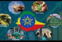 Flagship Initiatives Yield Tangible Gains Nationwide Flagship Initiatives Yield Tangible Gains Nationwide