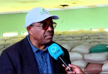 Ethiopia’s Green Legacy Sets Benchmark for Climate Growth Ethiopia’s Green Legacy Sets Benchmark for Climate Growth