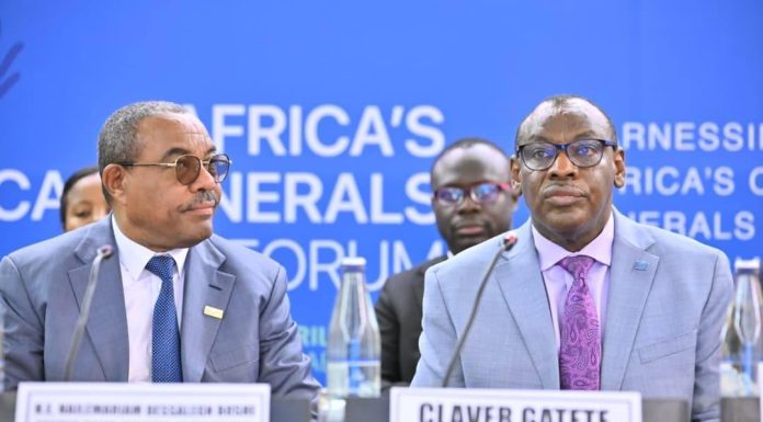 African Nations Urged to Harness Critical Minerals African Nations Urged to Harness Critical Minerals