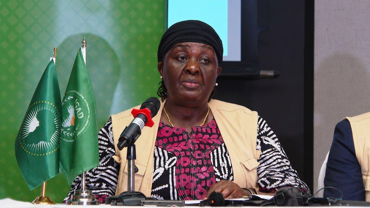IGAD Releases Preliminary Report on Ethiopia’s 7th General Election, Commends Peaceful Conduct and Electoral Reforms IGAD Releases Preliminary Report on Ethiopia’s 7th General Election, Commends Peaceful Conduct and Electoral Reforms