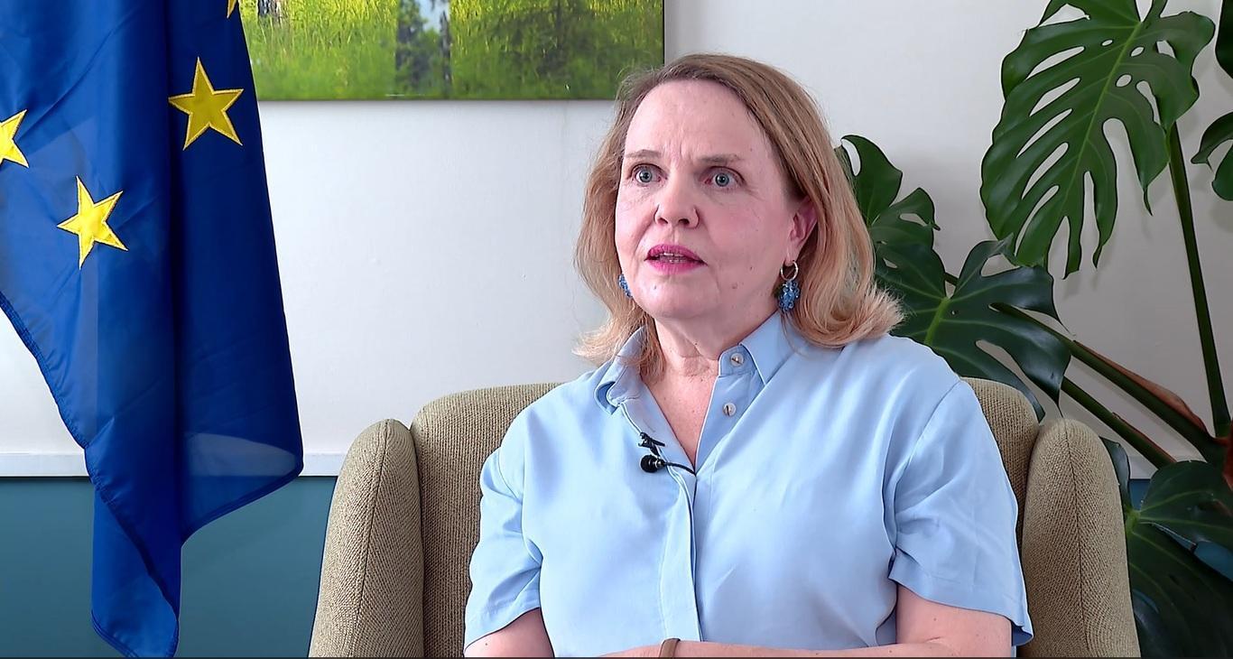 EU Ambassador Says Ethiopia's 7th General Election Marks Significant Democratic Milestone EU Ambassador Says Ethiopia's 7th General Election Marks Significant Democratic Milestone