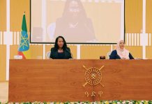 Addis Ababa Attracts 1.3 Trillion Birr Investment Addis Ababa Attracts 1.3 Trillion Birr Investment
