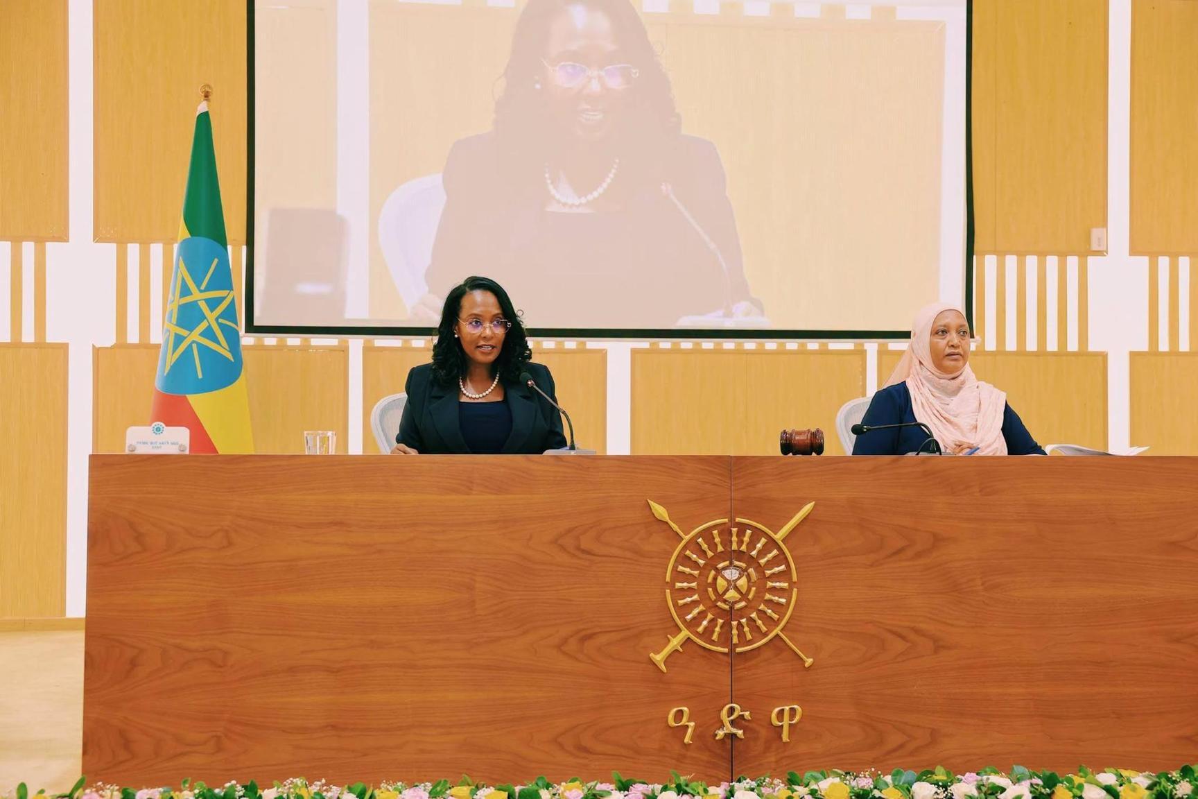 Addis Ababa Attracts 1.3 Trillion Birr Investment Addis Ababa Attracts 1.3 Trillion Birr Investment
