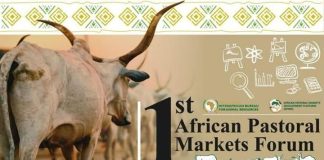Africa Pastoral Markets Forum Aims to Boost Livestock Sector Africa Pastoral Markets Forum Aims to Boost Livestock Sector