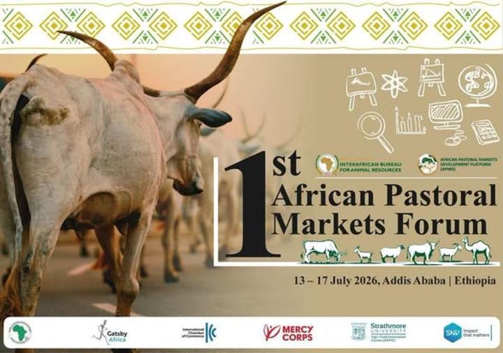 Africa Pastoral Markets Forum Aims to Boost Livestock Sector Africa Pastoral Markets Forum Aims to Boost Livestock Sector
