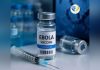 New Russian Vaccine Shows Strong Ebola Protection New Russian Vaccine Shows Strong Ebola Protection