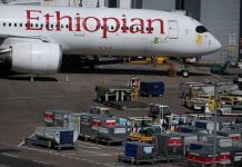 Ethiopia Plans Air Cargo Hub to Rival Gulf Airlines Ethiopia Plans Air Cargo Hub to Rival Gulf Airlines