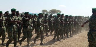UN Report: Ethiopians and Others Join Sudan Conflict UN Report: Ethiopians and Others Join Sudan Conflict