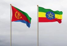Eritrea Accuses Ethiopia of Destabilizing the Region Eritrea Accuses Ethiopia of Destabilizing the Region