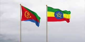 Eritrea Accuses Ethiopia of Destabilizing the Region Eritrea Accuses Ethiopia of Destabilizing the Region