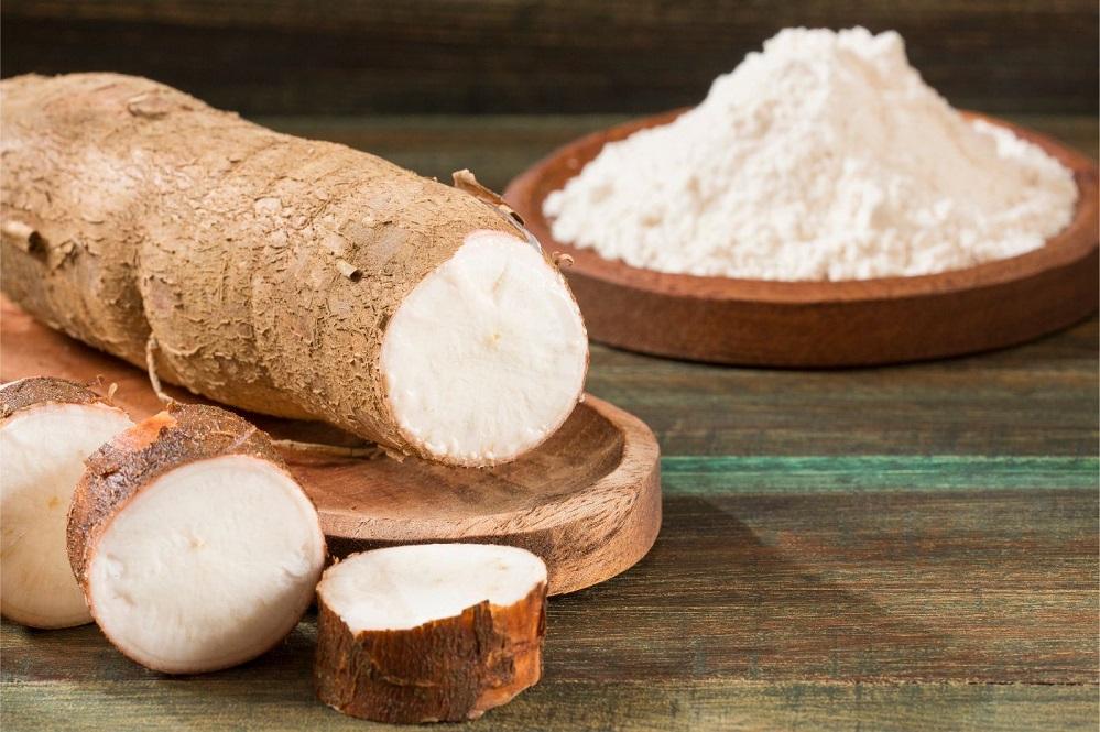 Culture du manioc : Et si le Haut-Ogooué devenait le fournisseur principal du Gabon ? Culture du manioc : Et si le Haut-Ogooué devenait le fournisseur principal du Gabon ?