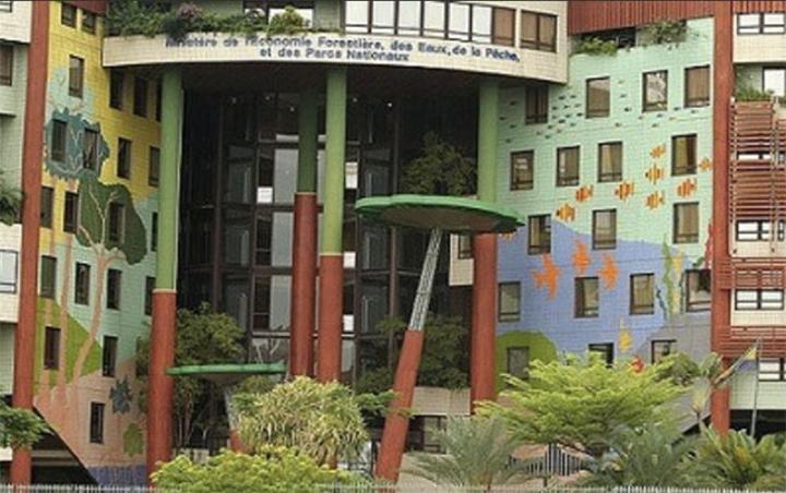 Gabon : Le Synapef charge Lee White Gabon : Le Synapef charge Lee White