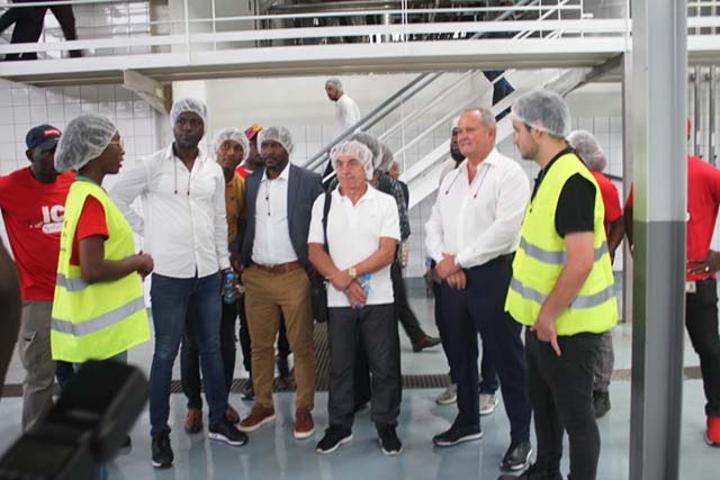 Football | Tournoi 33 Export : Alain Giresse à Sobraga Football | Tournoi 33 Export : Alain Giresse à Sobraga