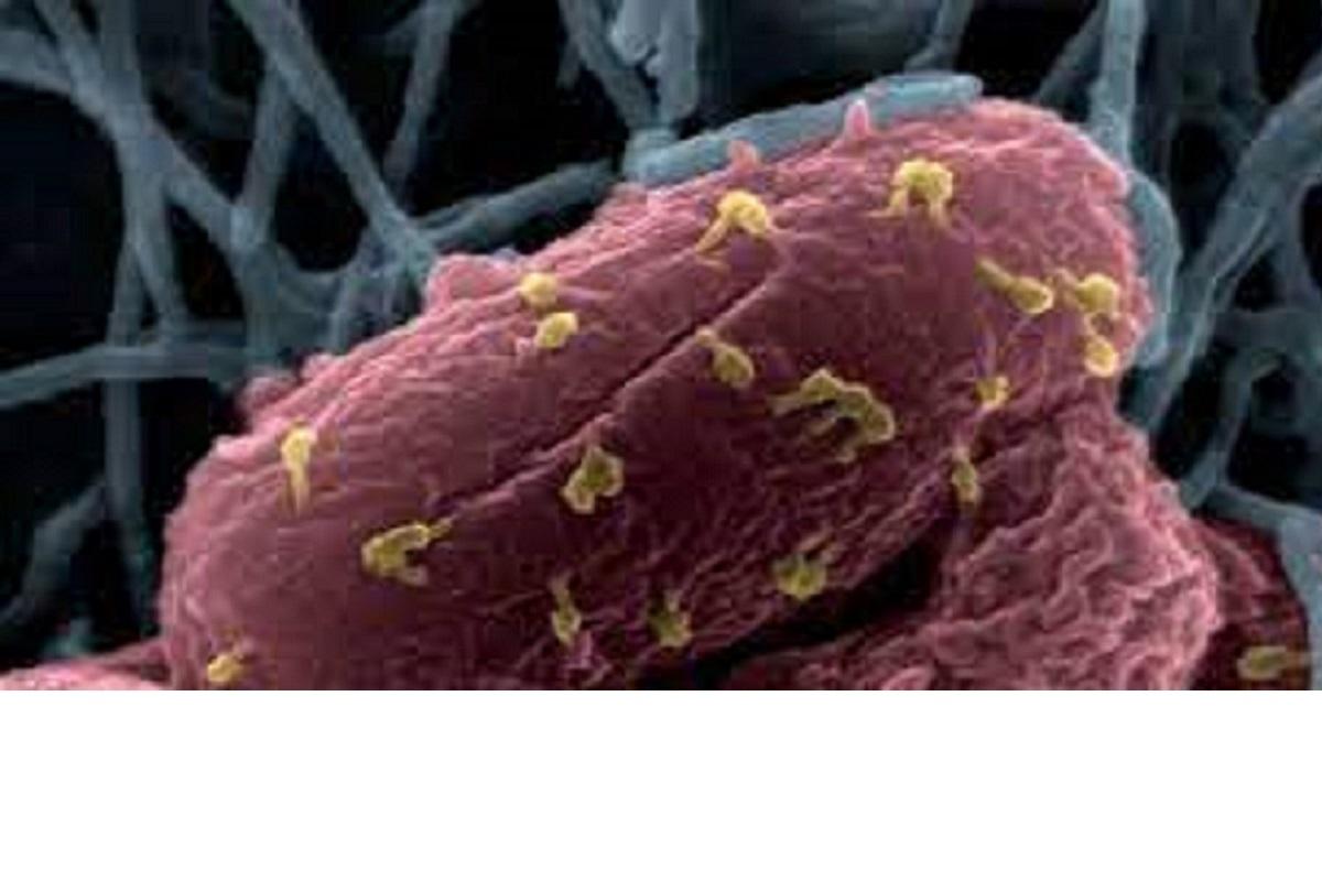 SANTE : Des nids à microbes que vous côtoyez au quotidien SANTE : Des nids à microbes que vous côtoyez au quotidien