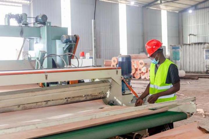 Gabon : Un «Elephant» dans la fabrication du contreplaqué Gabon : Un «Elephant» dans la fabrication du contreplaqué