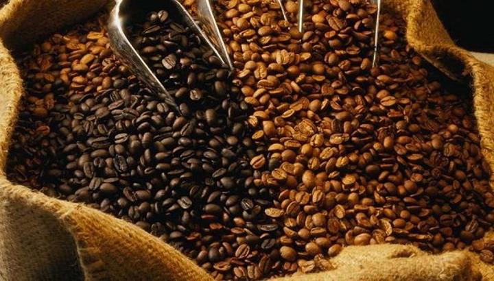 Monde : deux variantes de café (Robusta et Arabica) chutent respectivement à 2,04 USD et 3,54 USD le Kg cette semaine Monde : deux variantes de café (Robusta et Arabica) chutent respectivement à 2,04 USD et 3,54 USD le Kg cette semaine