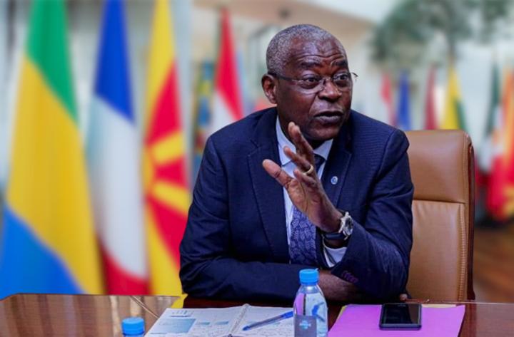 Promotion et défense du français : l’OIF a-t-elle jeté l’éponge ? Promotion et défense du français : l’OIF a-t-elle jeté l’éponge ?