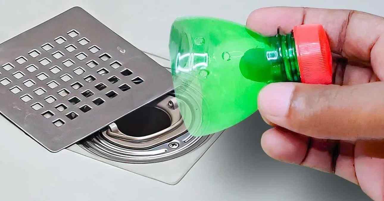 Astuces : éloignez les cafards de votre salle de bain avec ce nouveau piège Astuces : éloignez les cafards de votre salle de bain avec ce nouveau piège