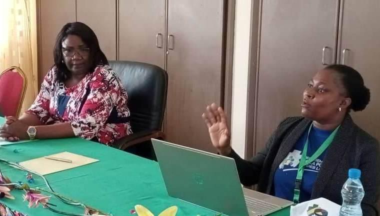 Recensement imminent de la population gabonaise : une mission de sensibilisation dans la Nyanga et la Ngounié Recensement imminent de la population gabonaise : une mission de sensibilisation dans la Nyanga et la Ngounié