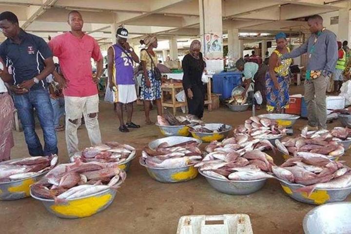 Pêche : Le Gabon veut hisser le secteur à 15% du PIB pour les 5 prochaines années Pêche : Le Gabon veut hisser le secteur à 15% du PIB pour les 5 prochaines années