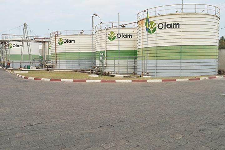 Huile de Palme : Olam obtient un prêt de 90 milliards de FCFA de la SFI Huile de Palme : Olam obtient un prêt de 90 milliards de FCFA de la SFI