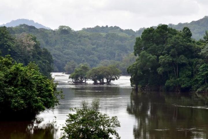 Échange dette nature : Retard à l’allumage pour Gabon Blue Bond Master Trust Échange dette nature : Retard à l’allumage pour Gabon Blue Bond Master Trust