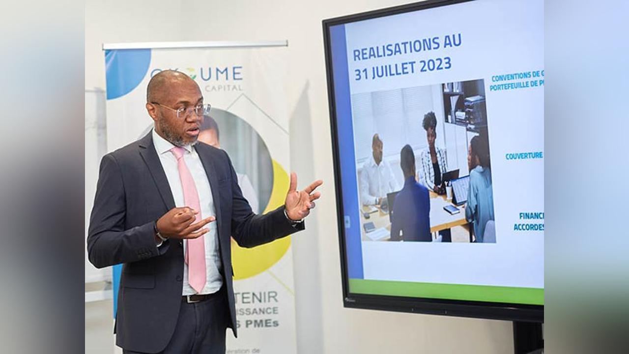 SGG : Un outil de garantie pour le financement des entreprises gabonaises SGG : Un outil de garantie pour le financement des entreprises gabonaises