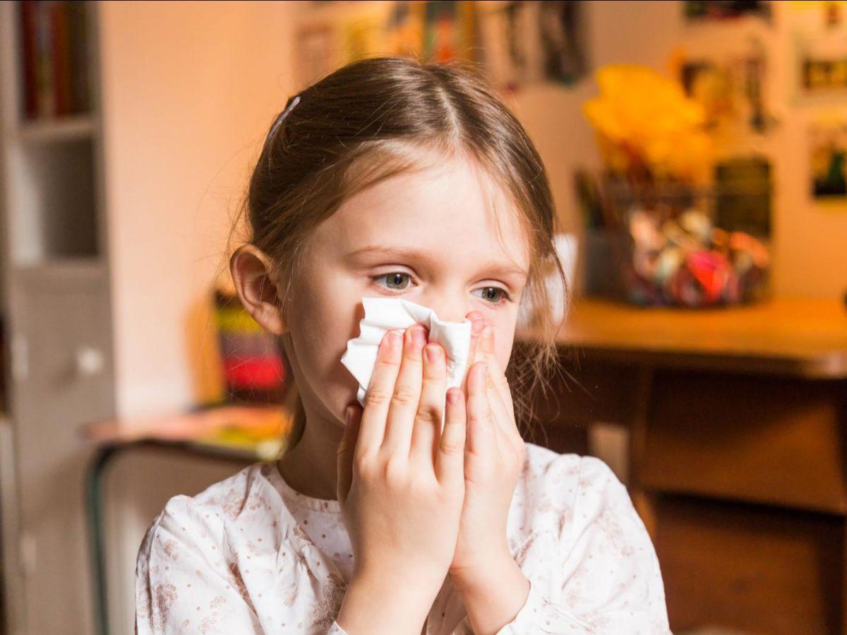 Allergies : les cellules responsables identifiées et cartographiées Allergies : les cellules responsables identifiées et cartographiées
