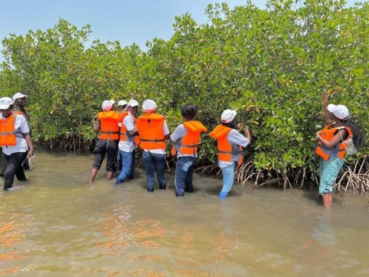 Gestion des milieux marins : L’USTM et l’ANPN proposent le Master pro CESAM Gestion des milieux marins : L’USTM et l’ANPN proposent le Master pro CESAM