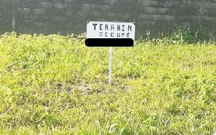 Gabon : Le CTRI interdit la vente des terres aux non-nationaux Gabon : Le CTRI interdit la vente des terres aux non-nationaux