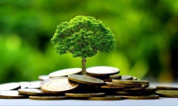 L’Allemagne promet 486 millions $ de nouveaux financements climatiques en faveur de l’Afrique L’Allemagne promet 486 millions $ de nouveaux financements climatiques en faveur de l’Afrique