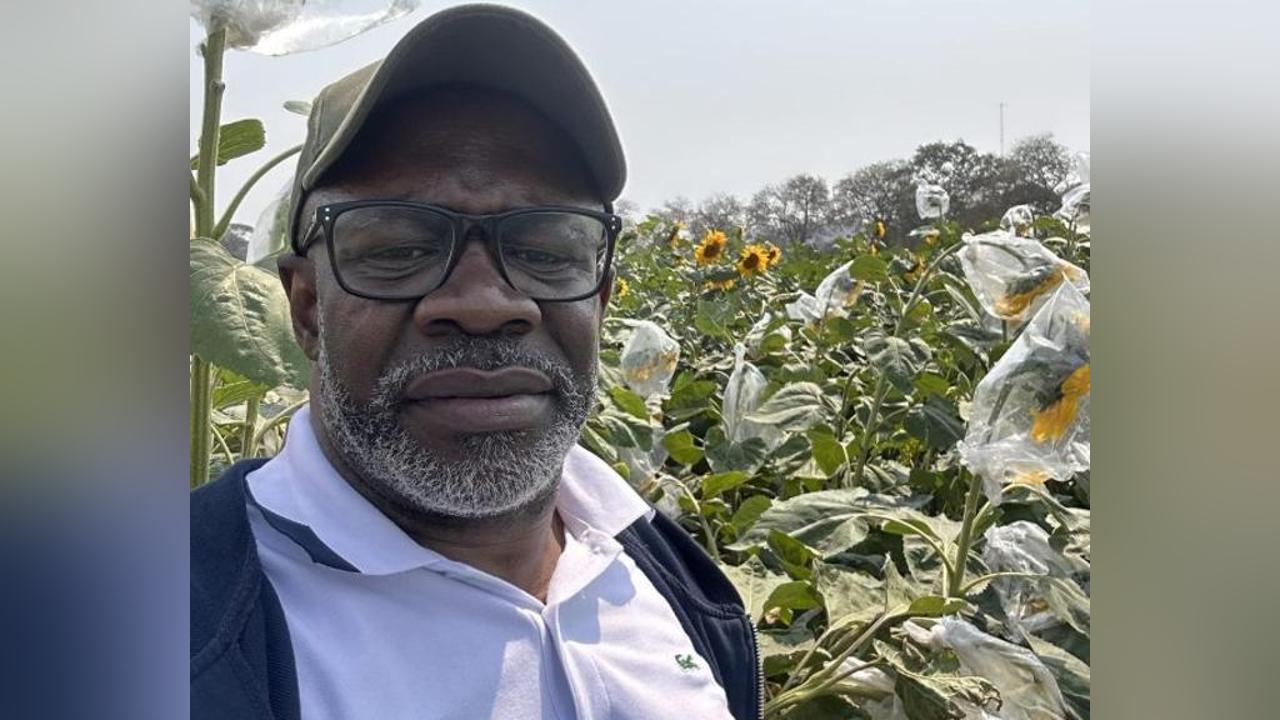 Société pour l’agriculture et l’élevage du Gabon : Les mêmes causes aboutissent aux mêmes conséquences ? Société pour l’agriculture et l’élevage du Gabon : Les mêmes causes aboutissent aux mêmes conséquences ?