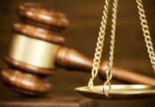 Procédures Pénales Simplifiées et Garanties Constitutionnelles Procédures Pénales Simplifiées et Garanties Constitutionnelles