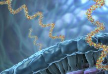 L’ARN: une Molécule D’Intérêt depuis 2000 L'ARN: une Molécule D'Intérêt depuis 2000