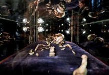 Les Cousins Inattendus Des Grandes Découvertes Les Cousins Inattendus Des Grandes Découvertes