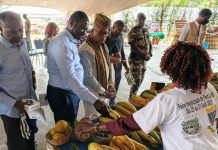 Foire Marigovéene 2e Édition Pour Entrepreneuriat Local Foire Marigovéene 2e Édition Pour Entrepreneuriat Local