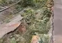 Route Ebè – Ovan – Makokou: la CôTe D’Alerte ! Route Ebè – Ovan – Makokou: la CôTe D’Alerte !