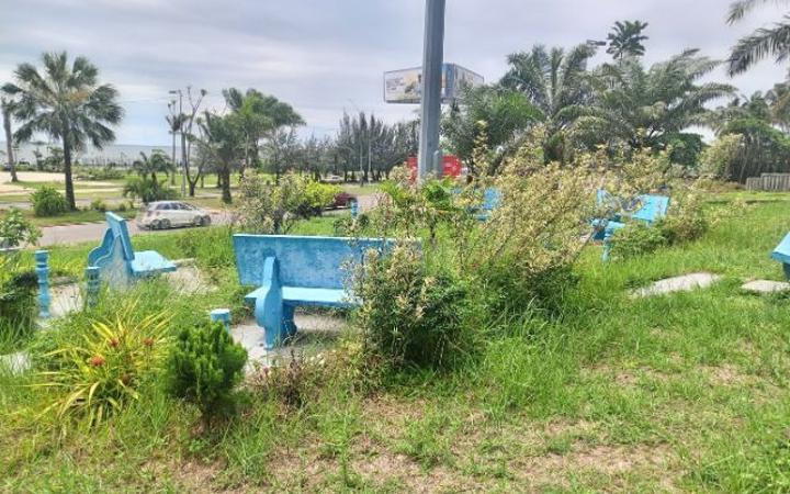 Sous les Herbes du 1Er Arrondissement: Bancs Oubliés Sous les Herbes du 1Er Arrondissement: Bancs Oubliés