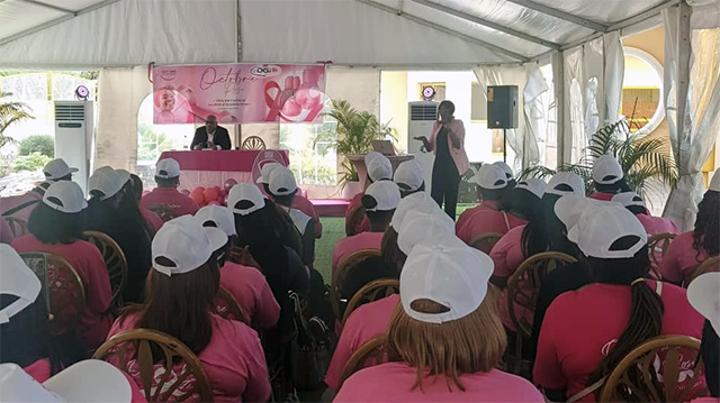 Octobre Rose: la DGI AmèNe L’HôPital À Son Administration Octobre Rose: la DGI AmèNe L’HôPital À Son Administration