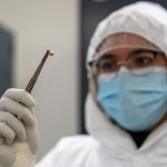 Raisons de la Longévité des Pandémies de Peste Raisons de la Longévité des Pandémies de Peste