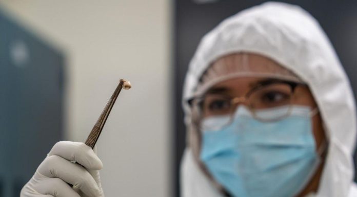 Raisons de la Longévité des Pandémies de Peste Raisons de la Longévité des Pandémies de Peste