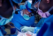 Greffe de Porc chez l’Homme: Défis de la Xénotransplantation Greffe de Porc chez l'Homme: Défis de la Xénotransplantation