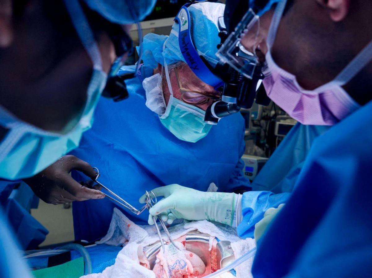 Greffe de Porc chez l'Homme: Défis de la Xénotransplantation Greffe de Porc chez l'Homme: Défis de la Xénotransplantation