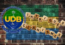 UDB Confrontée à Ses Propres Divisions Électorales UDB Confrontée à Ses Propres Divisions Électorales