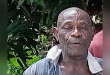 Conflit Homme-Faune: Deux Villageois Tués par Éléphant Conflit Homme-Faune: Deux Villageois Tués par Éléphant