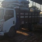 Saisie de Tramadol à Bitam et Trafic des Kobolos Saisie de Tramadol à Bitam et Trafic des Kobolos