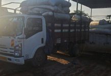 Saisie de Tramadol à Bitam et Trafic des Kobolos Saisie de Tramadol à Bitam et Trafic des Kobolos