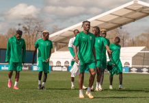 AB Sport Équipementier Des Panthères Pour La CAN 2025 AB Sport Équipementier Des Panthères Pour La CAN 2025